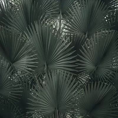 Imagen PNG para descargar